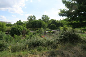 Projets intérieurs - image 3