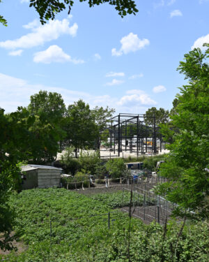 Temps fort - image 5