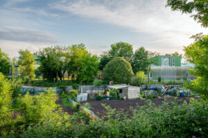Projets extérieurs - image 1