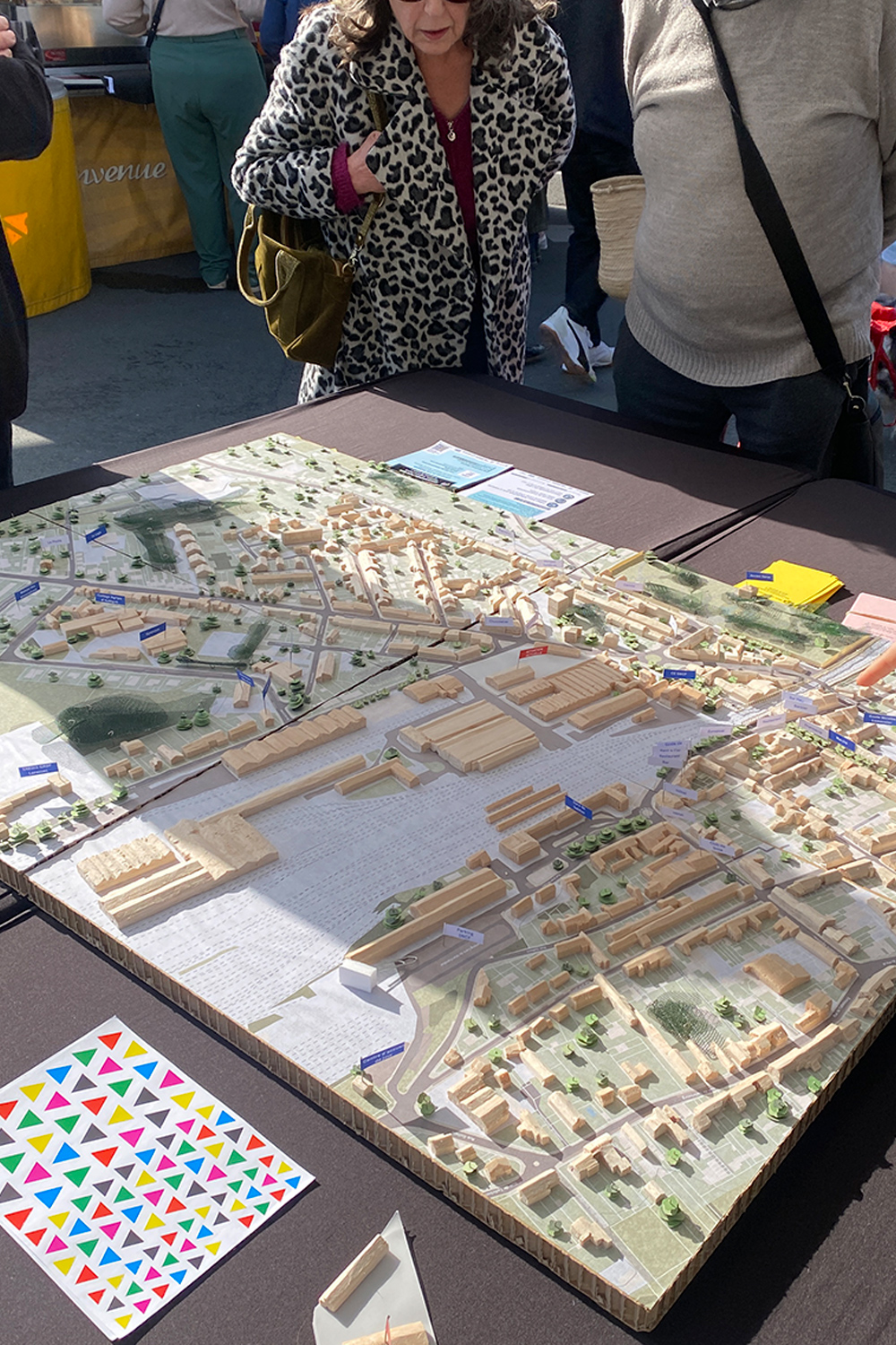 Ferrocampus