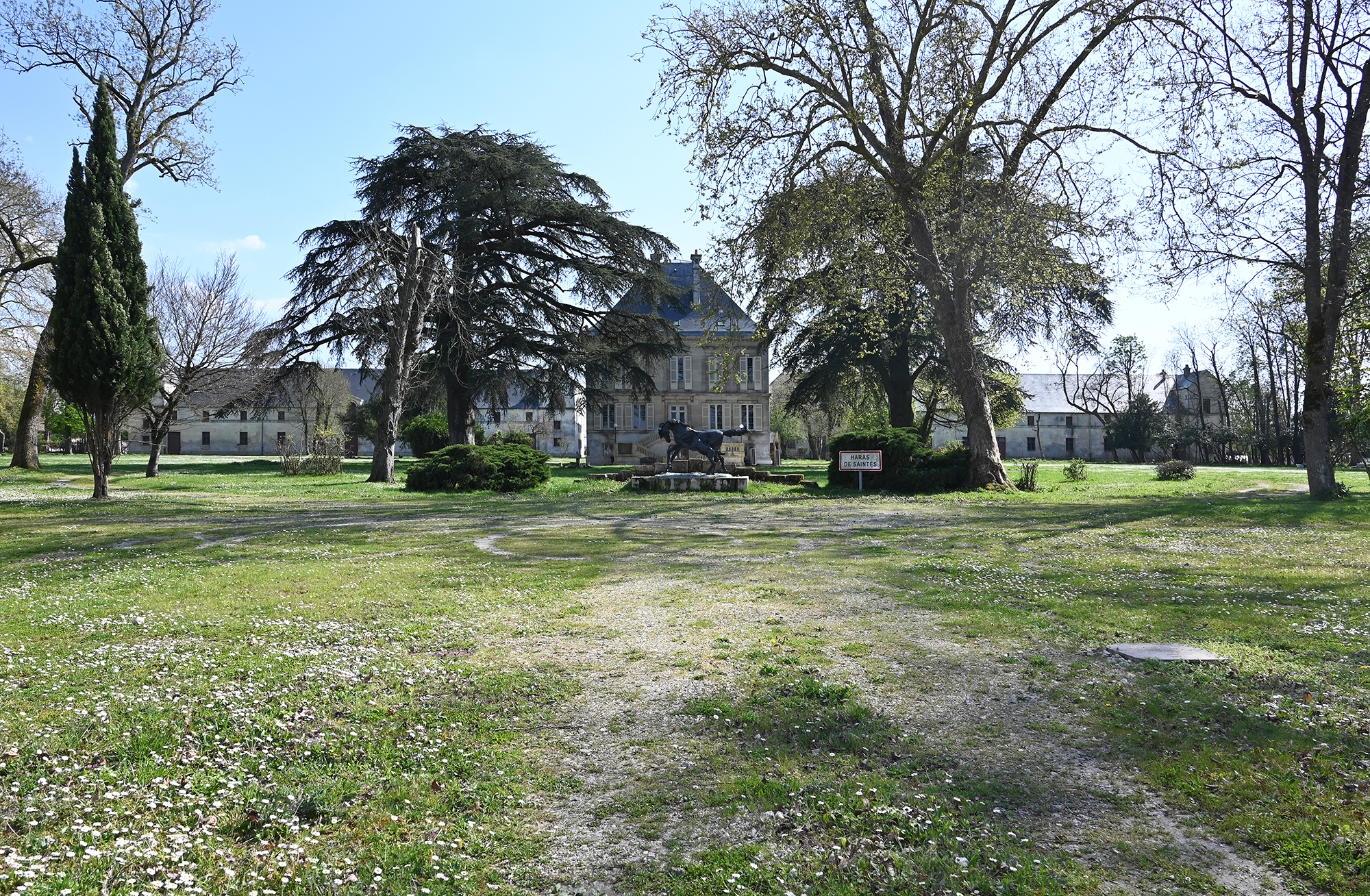 Ferrocampus