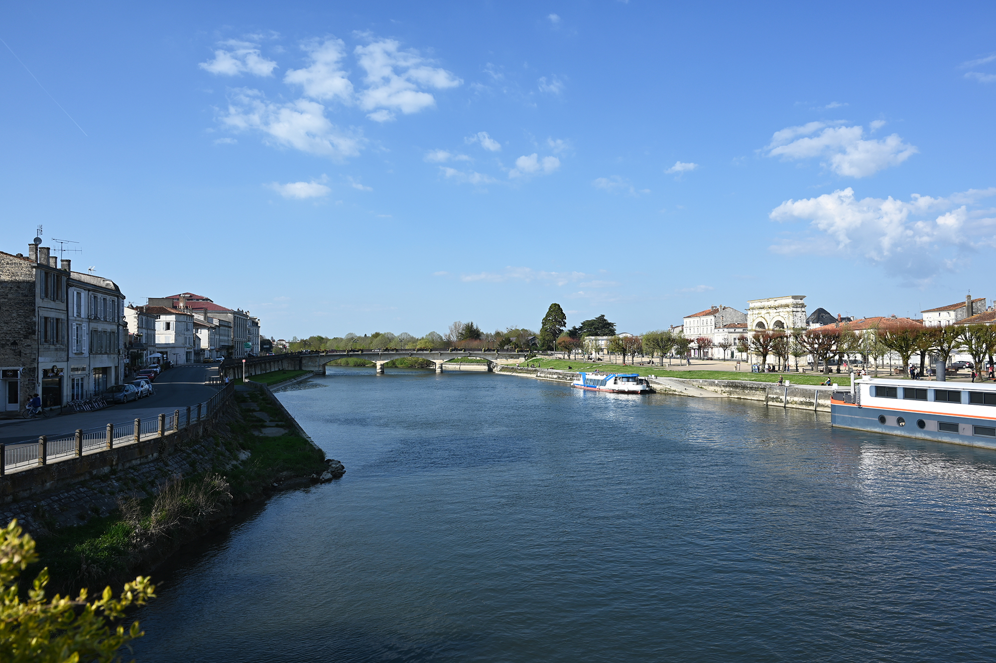Ferrocampus