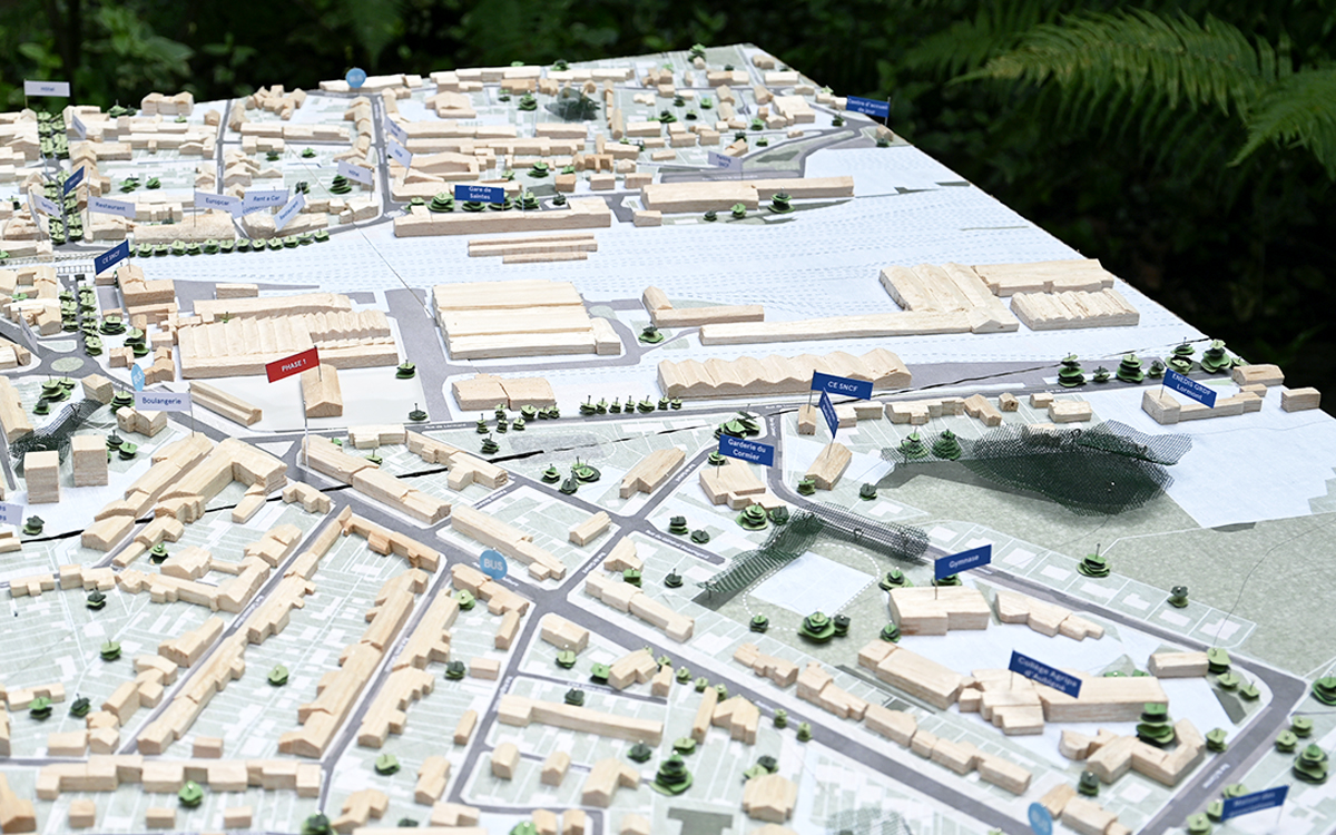 Ferrocampus