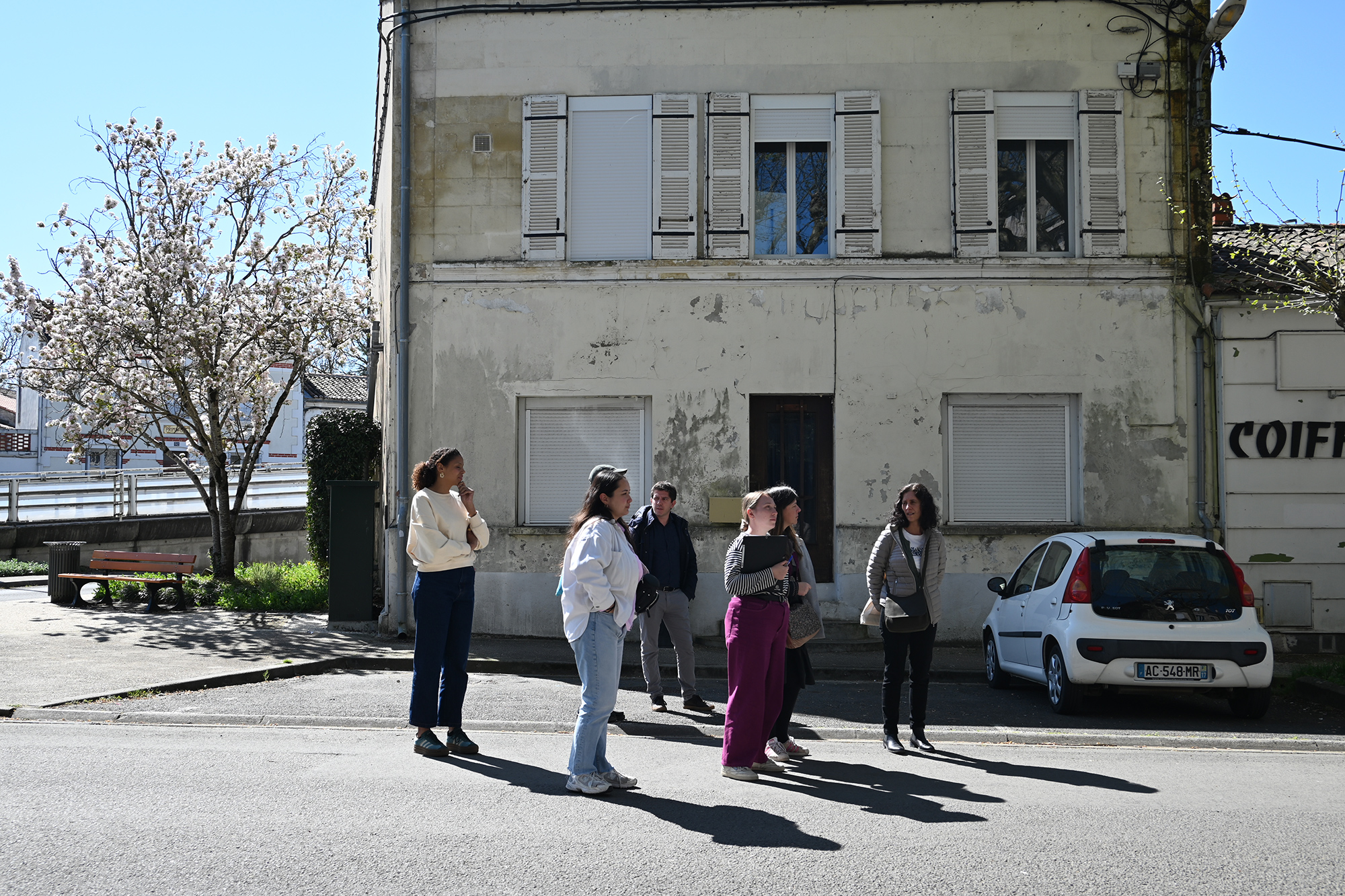Ferrocampus