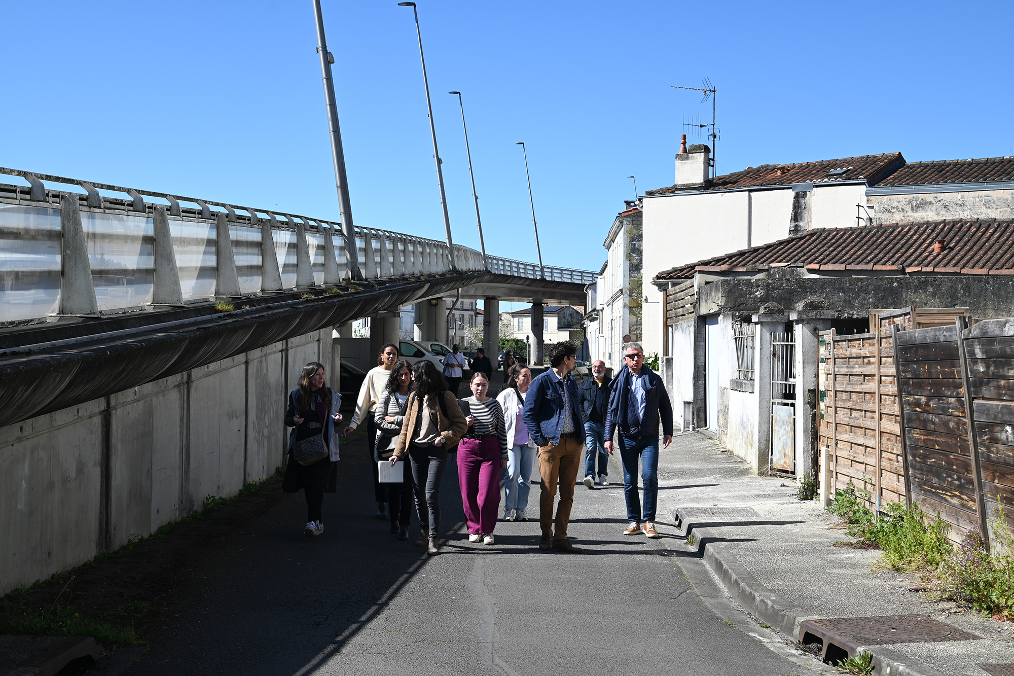 Ferrocampus