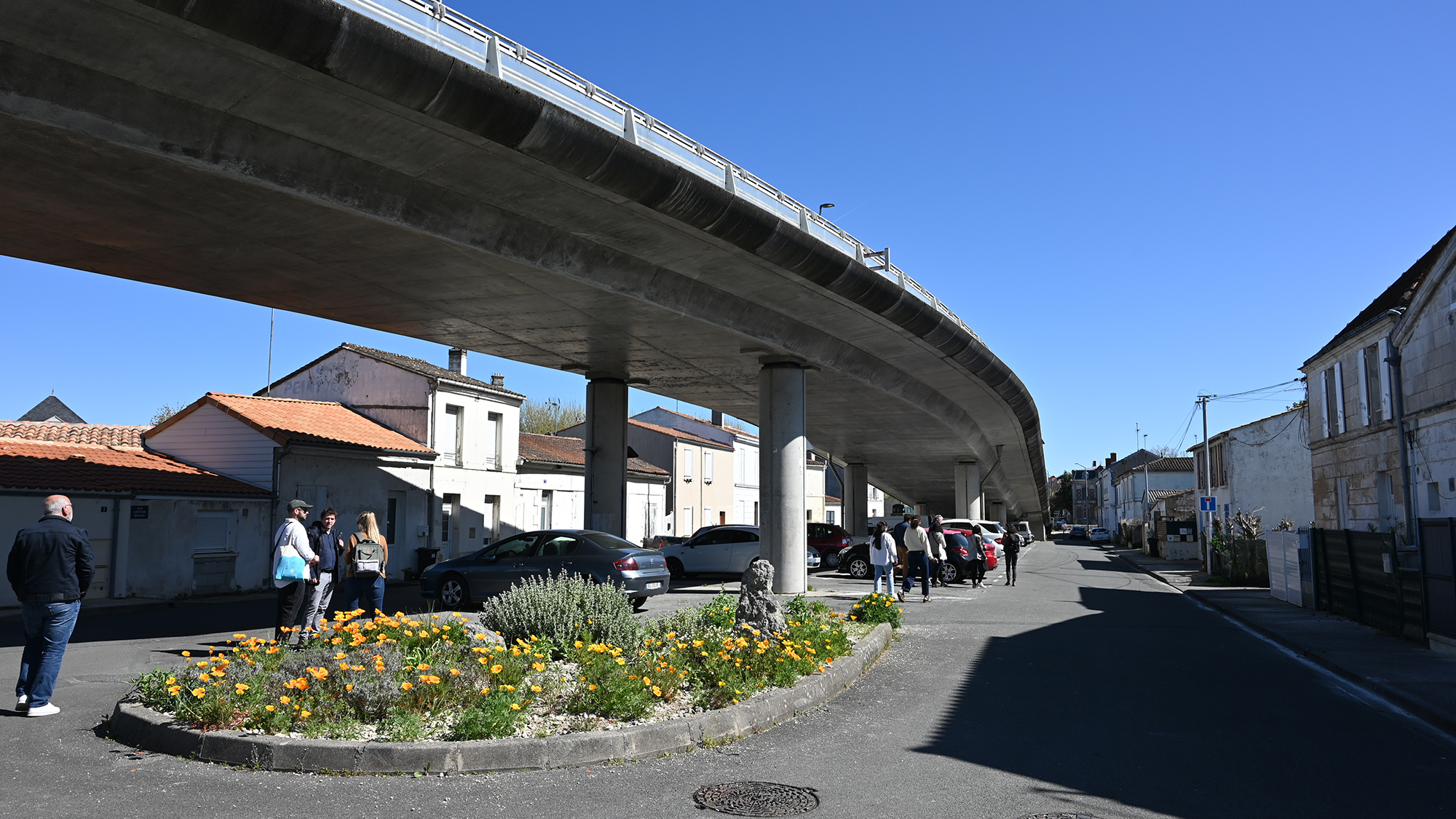 Ferrocampus