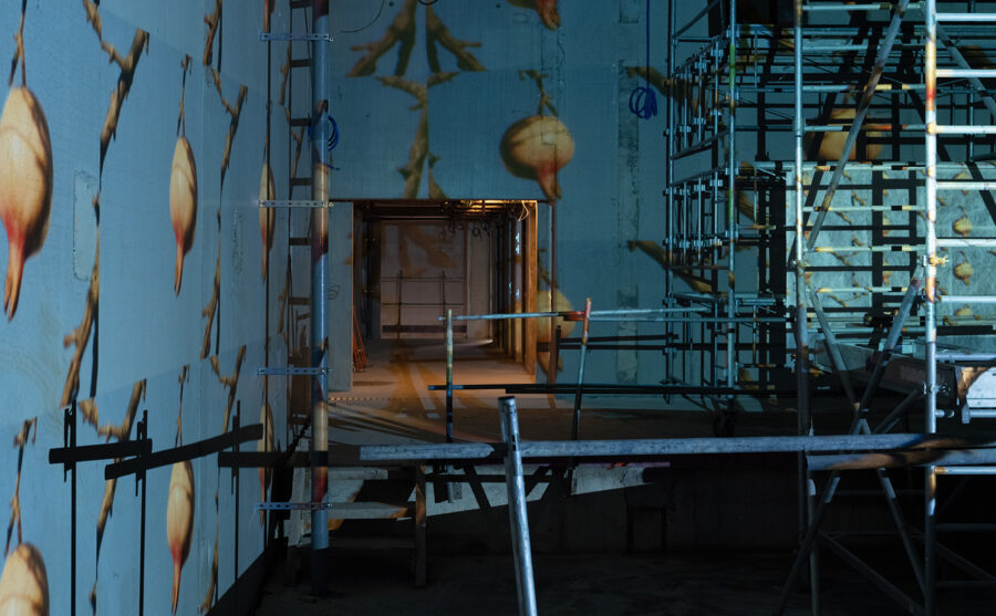 Le futur club revisité par les projections d'Olivier Crouzel.